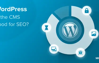 Is WordPress Recommended for Your Main Website Image?