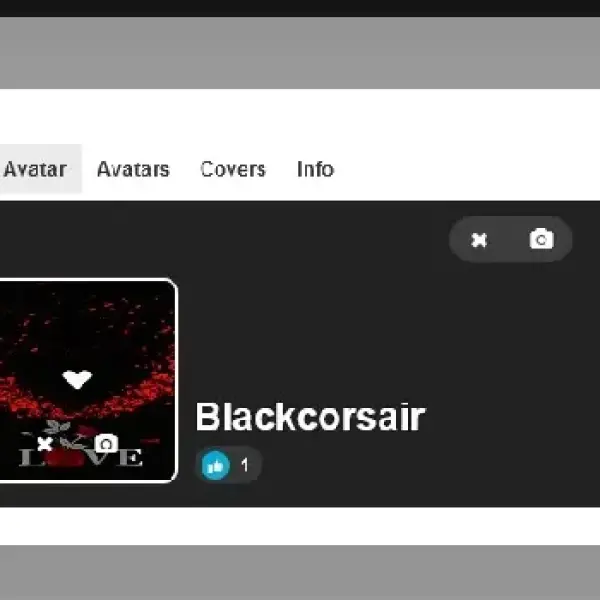 Default avatar selector