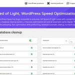 WP Speed of Light v3.3.5 – Speed Up WordPress Pro