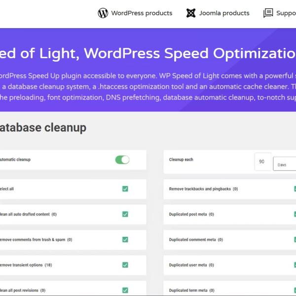 WP Speed of Light v3.3.5 – Speed Up WordPress Pro